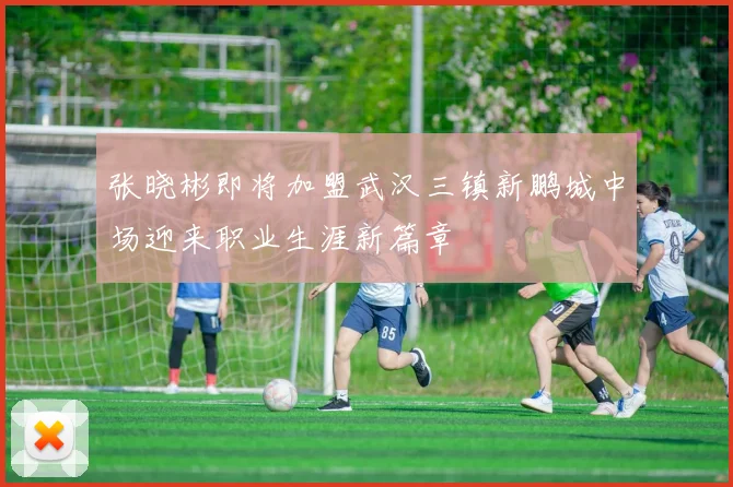 张晓彬即将加盟武汉三镇新鹏城中场迎来职业生涯新篇章