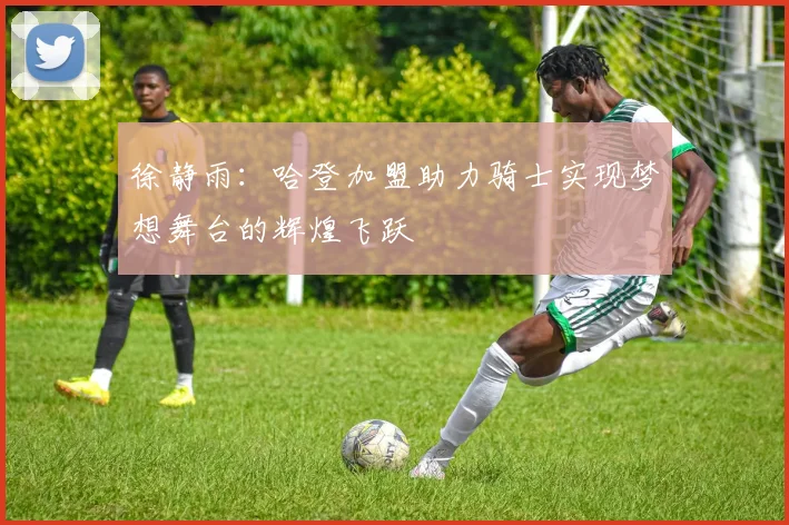 徐静雨：哈登加盟助力骑士实现梦想舞台的辉煌飞跃